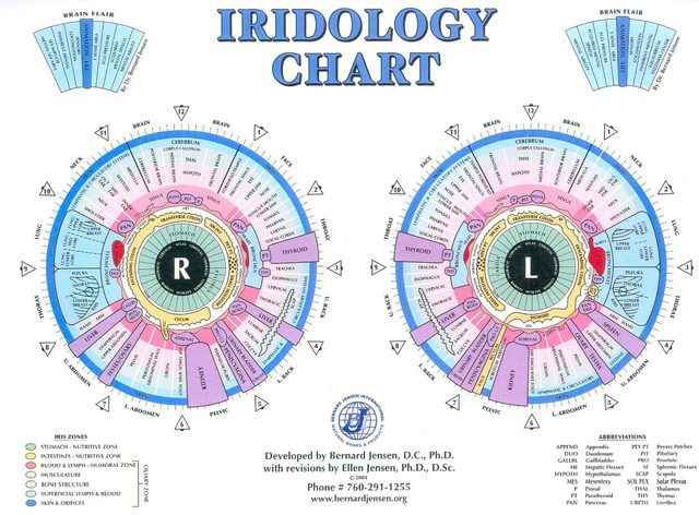 What is Iridology?