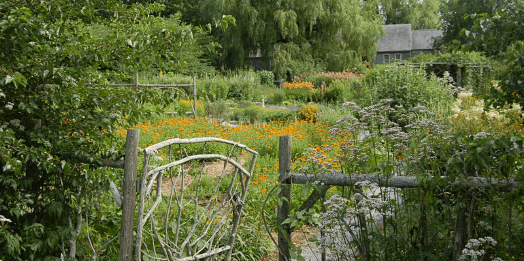 Avena Botanicals Garden Herb Walk (Guided Tour)